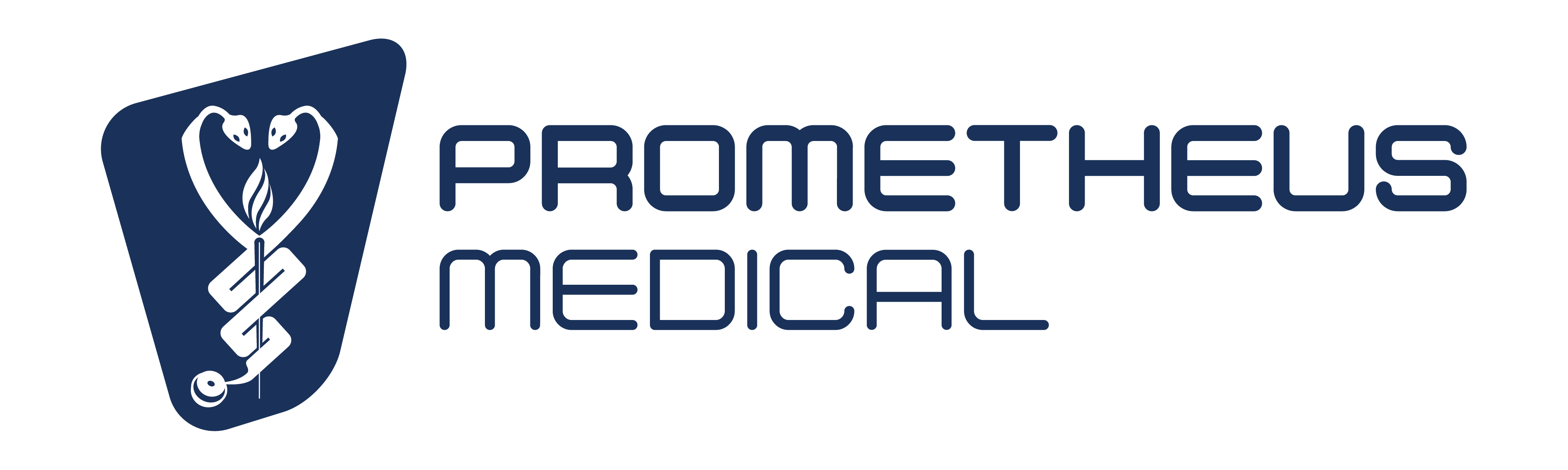 prometheus logo
